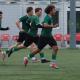 IMG_7330.jpg