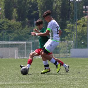 IMG 7624